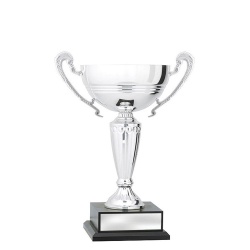 CUP197A