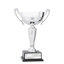 CUP197B