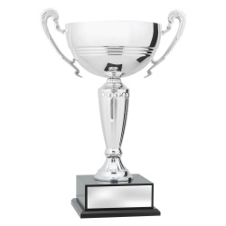 CUP197C