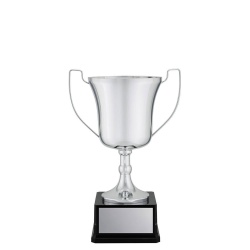 CUP198A