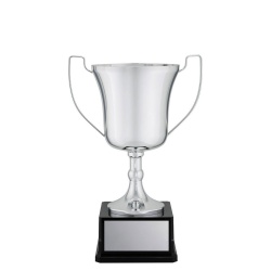 CUP198B
