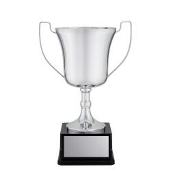 CUP198C