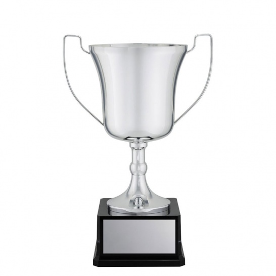 CUP198C - Trophy Land