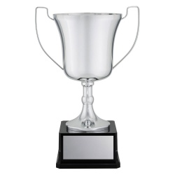 CUP198D