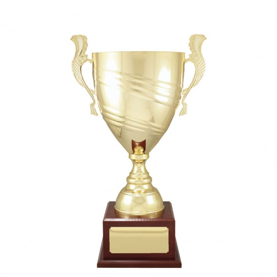 CUP203D - Trophy Land