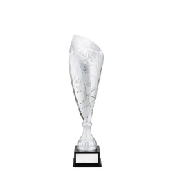 CUP205A