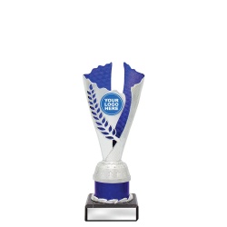 CUP20B