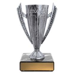CUP211