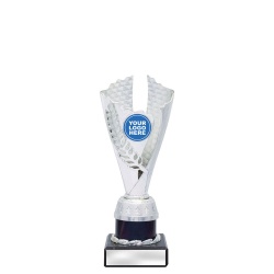 CUP21B