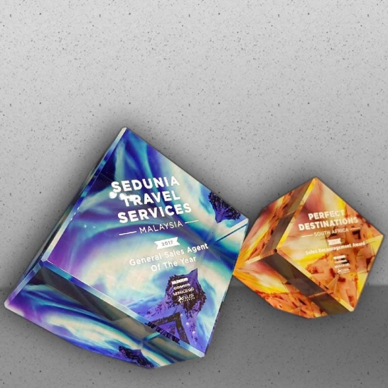 Colour Printed Crystal Cubes - Trophy Land