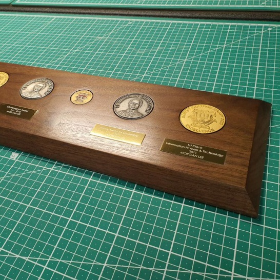 Custom Coin Display - Trophy Land