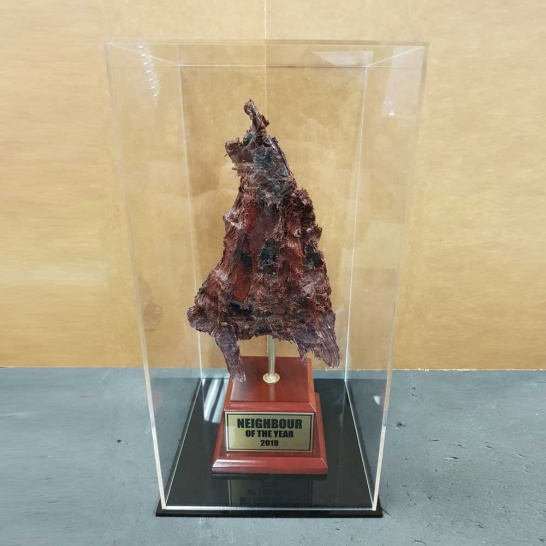 Custom Display Case 2 - Trophy Land