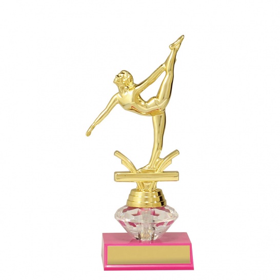 D5211B - Trophy Land