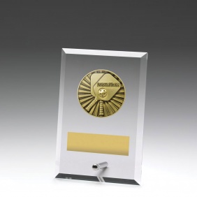 Pickleball Trophy DY171A - Trophy Land