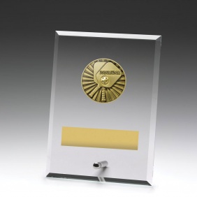 Pickleball Trophy DY171B - Trophy Land