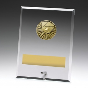 Pickleball Trophy DY171C - Trophy Land