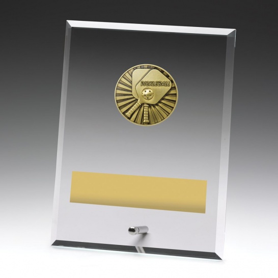 DY171C - DY171C - Glass Plaques - Pickleball - 200mm - Trophy Land DY171C - Trophy Land