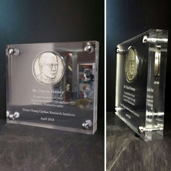 Encased Coin - Trophy Land