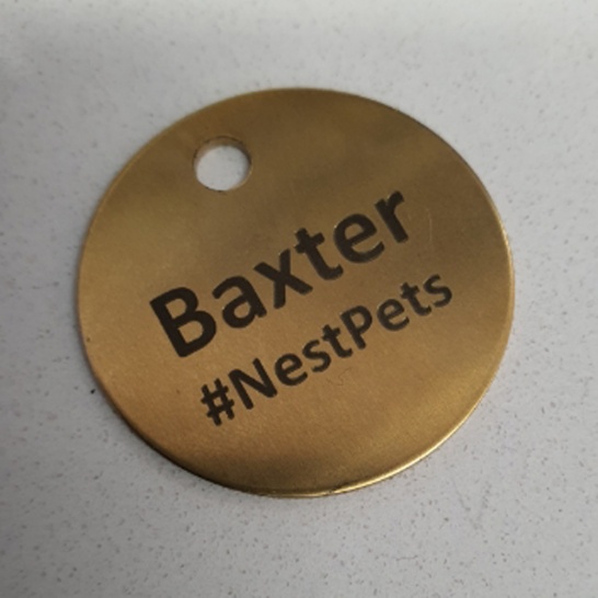 Engraved Pet Tag - Trophy Land