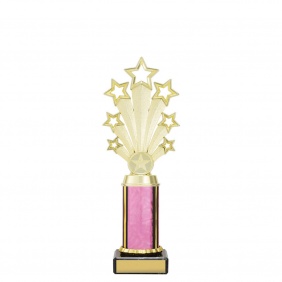 Custom Holder Trophy FAN01C - Trophy Land