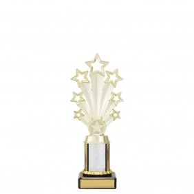 Custom Holder Trophy FAN02B - Trophy Land