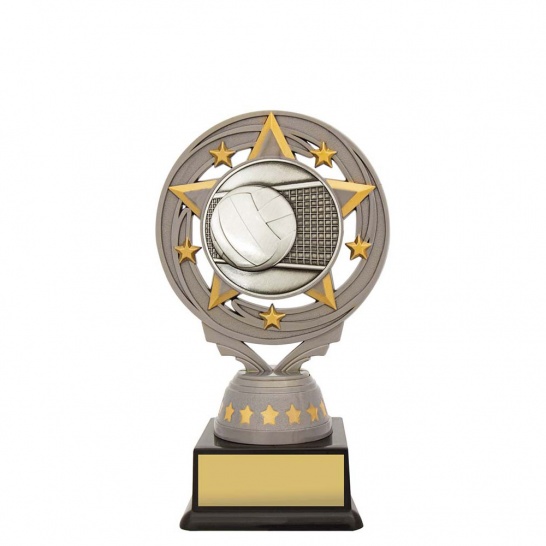 FT227A - Silver Torch Volleyball 150mm - Trophy Land FT227A - Trophy Land