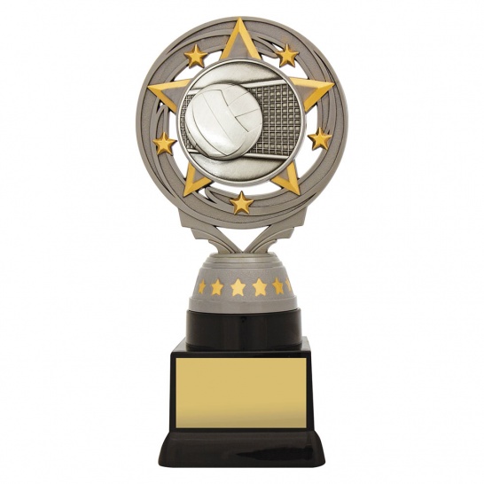 FT227C - Silver Torch Volleyball 180mm - Trophy Land FT227C - Trophy Land