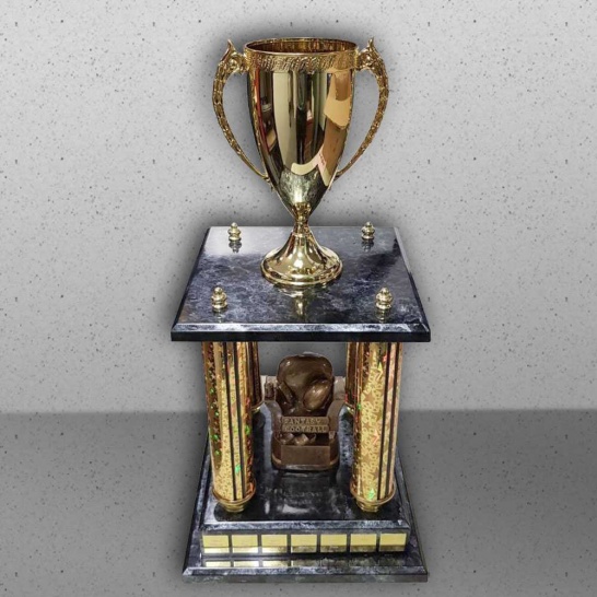 Fantasy League Trophy - Trophy Land