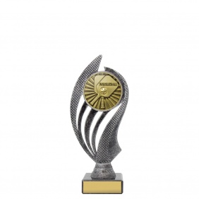 Pickleball Trophy HY971A - Trophy Land