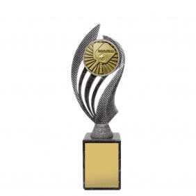 Pickleball Trophy HY971C - Trophy Land