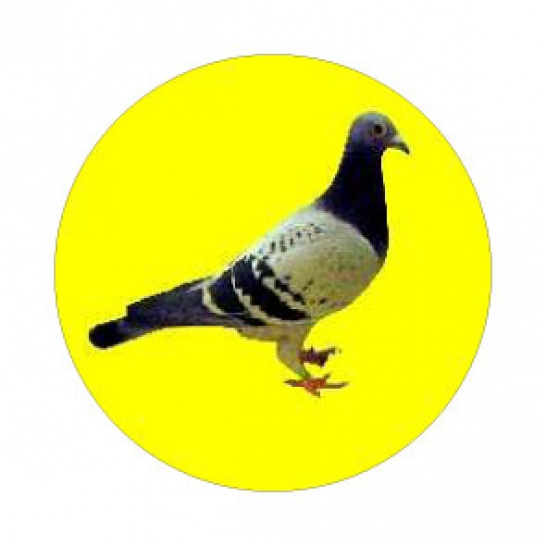 K128 - Trophy Land