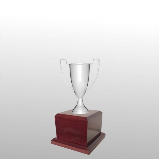 MT102-14 - Trophy Land