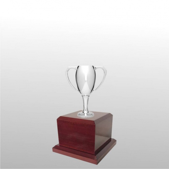 MT104-13 - Trophy Land