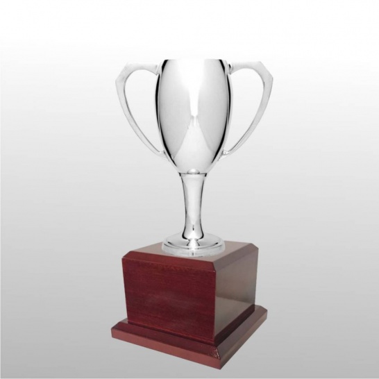 MT104-22 - Trophy Land