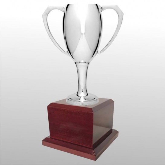 MT104-26 - Trophy Land