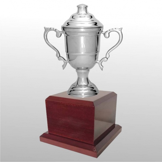 MT205-28 - Trophy Land