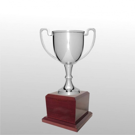 MT209-26 - Trophy Land