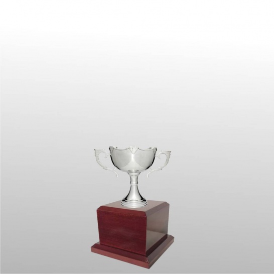 MT303-13 - Trophy Land