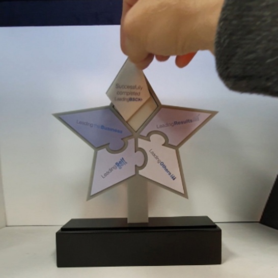 Magnetic Jigsaw Trophy - Trophy Land