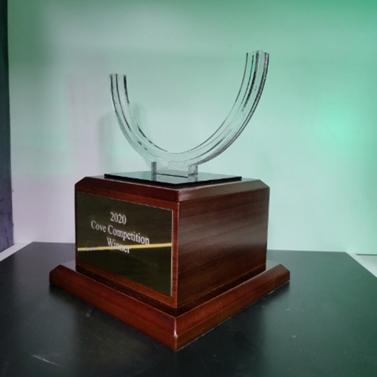 Medallion Display - Trophy Land
