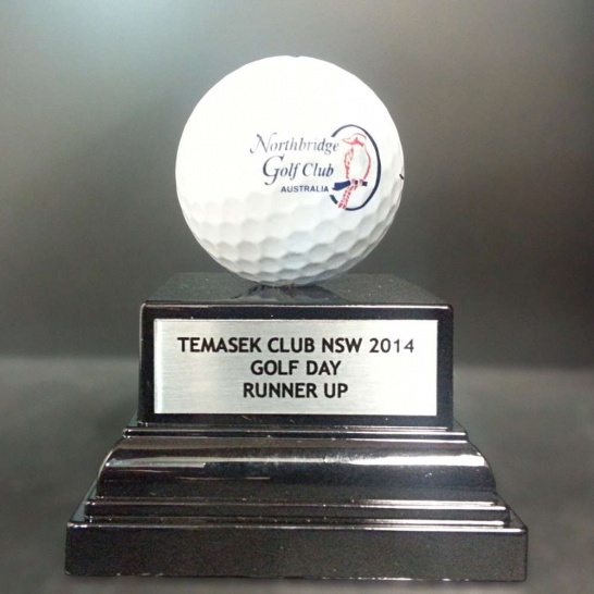 Mounted Golf Ball - Trophy Land