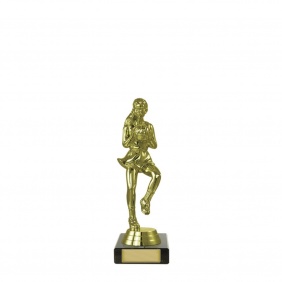 Netball Trophy N13A - Trophy Land Netball Trophy N13A - Trophy Land