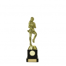 Netball Trophy N13B - Trophy Land Netball Trophy N13B - Trophy Land