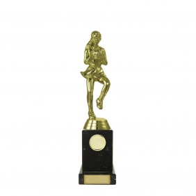 Netball Trophy N13C - Trophy Land Netball Trophy N13C - Trophy Land