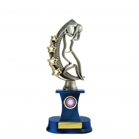 Netball Trophy N16C - Trophy Land Netball Trophy N16C - Trophy Land