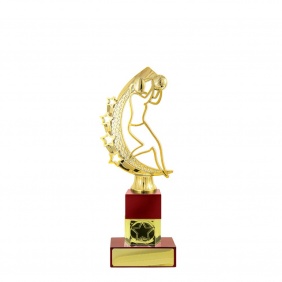 Netball Trophy N19C - Trophy Land Netball Trophy N19C - Trophy Land