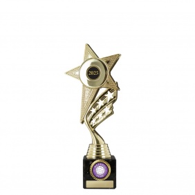 Netball Trophy N1B - Trophy Land Netball Trophy N1B - Trophy Land