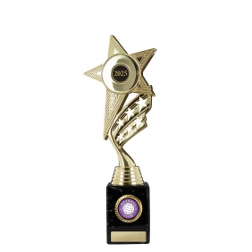 Netball Trophy N1C - Trophy Land Netball Trophy N1C - Trophy Land