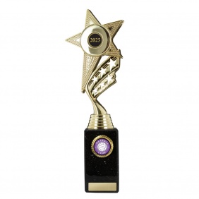 Netball Trophy N1D - Trophy Land Netball Trophy N1D - Trophy Land