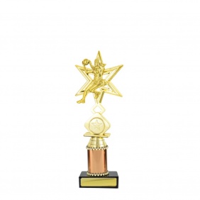 Netball Trophy N20C - Trophy Land Netball Trophy N20C - Trophy Land